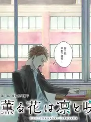 一起造房子 生活改造慢综艺在线观看